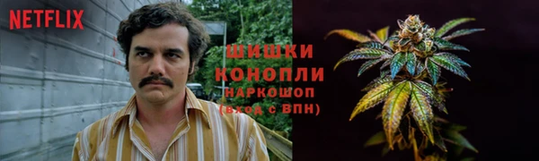 круглые Бронницы